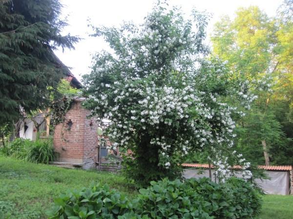 Il Mulino Di Geminella Daire Narzole Dış mekan fotoğraf