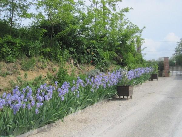 Il Mulino Di Geminella Daire Narzole Dış mekan fotoğraf