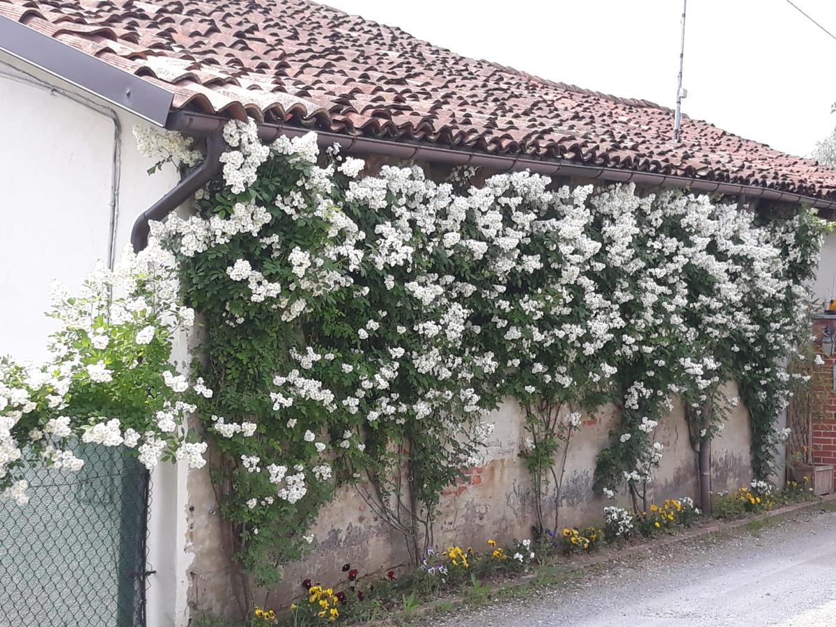 Il Mulino Di Geminella Daire Narzole Dış mekan fotoğraf